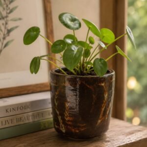 Woodland Ember medium ceramic plant pot with a Pilea plant and rich brown and copper glaze